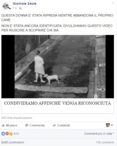 giornale-24-ore-donna-abbandona-cane